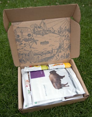 Case Study: Patagonia